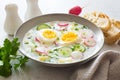 Refresing cold summer radish, cucumber,potato , eggs and yogurt soup close up