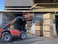 Potato storage facility. Forklift used to stack the crates. Refrigerated cold warehouse for potatoes and onions with wooden boxes. Royalty Free Stock Photo