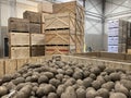 Potato storage facility. Forklift used to stack the crates. Refrigerated cold warehouse for potatoes and onions with wooden boxes. Royalty Free Stock Photo