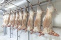 Refrigerated warehouse, hanging hooks of frozen lamb carcasses. Halal cut