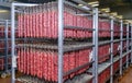 Refrigerated warehouse for storing meat and sausage products Royalty Free Stock Photo