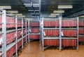 Refrigerated warehouse for storing meat and sausage products Royalty Free Stock Photo