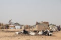 Refugee camp IDP - Internal displaced persons taking refuge from armed conflict between opposition groups and government.