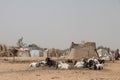 Refugee camp IDP - Internal displaced persons taking refuge from armed conflict between opposition groups and government.