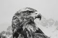 A regal eagle superimposed with the rugged peaks of a mountain range in a double exposure