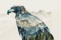 A regal eagle superimposed with the rugged peaks of a mountain range in a double exposure