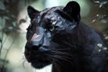 A regal and fierce panther in the jungle. Generative AI