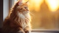A regal-looking cat perched on a windowsill, gazing outside. AI Generative