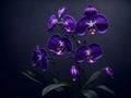 Regal Orchid Oasis. Deep plum purples Royalty Free Stock Photo