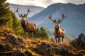 Regal Red Deer Stags Roaming Untamed Lands.