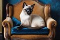 A regal Siamese cat with blue eyes, on a luxurious vintage chair.