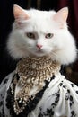 Regal Whiskers: Admiring the Queenly Presence of Your Elegant Feline
