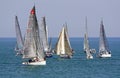 Regatta of Conero, Ancona Royalty Free Stock Photo