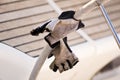 Gloves on boat wheel Royalty Free Stock Photo