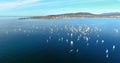 Regatta in Gelendzhik Bay. A lot of small one-and two-person yachts jostle in the Bay with a light wind. The view from