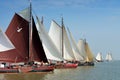 The regatta is a race for traditional sailing ships