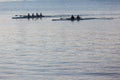 Regatta Rowing Canoes Water Royalty Free Stock Photo
