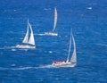 Regatta Royalty Free Stock Photo