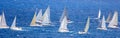 Regatta Royalty Free Stock Photo