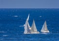 Regatta Royalty Free Stock Photo