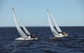 Regatta sailing yachts Royalty Free Stock Photo