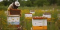 Regenerative Farming. Beekeeper Tending to Beehive in Wildflower Meadow.