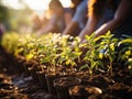 Regenerative farming works on small organic with complex farming details, such as nutrient-rich soil and diverse crop rotation