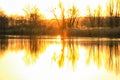 Wildlife on Danube river near Regensburg city, Germany