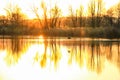 Wildlife on Danube river near Regensburg city, Germany