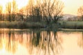 Wildlife on Danube river near Regensburg city, Germany