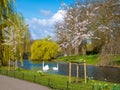Regents park in springtime in London