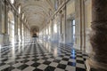 Reggia of Venaria Reale internal perspective view of Great Gallery