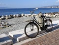 Reggio bike