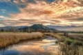 Reginu river arriving at Losari beach in Corsica Royalty Free Stock Photo