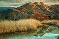 Reginu river arriving at Losari beach in Corsica Royalty Free Stock Photo