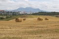 The region of the Caucasian Mineral Waters. Harvest time