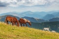 Regional Park Monte Cucco. Italy Royalty Free Stock Photo