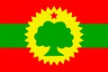 Flag of the Oromo Liberation Front
