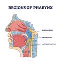 Regions of pharynx and throat parts division from side view outline diagram