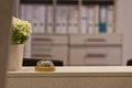 Reception desk bell and a white flower in a ceramic pot Royalty Free Stock Photo
