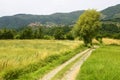 Regnano, old village in Tuscany