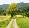 Regnano, Tuscany (Italy)