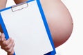 ÃÂ regnant women holds a folder with paper near the belly