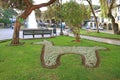 Regocijo Square in Cuzco with a Garden Planting Lamb`s Ears Plants in Llama Shaped, City of Cuzco, Peru