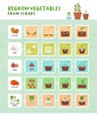 Regrow vegetables from scraps infographic Royalty Free Stock Photo