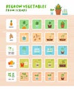 Regrow vegetables from scraps infographic Royalty Free Stock Photo