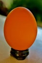 Regular egg on a small black stand on a white table