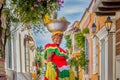 Regular footage of a Palenquera holding a big bowl of fruits on head, dressed with colorful clothes