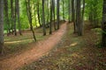 A place for summer walks along the paths Royalty Free Stock Photo