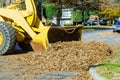 Regular seasonal work on city improvement team removes the fallen leaves with an excavator and a truck